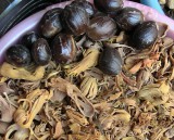 Мускатные орехи и цветы мускатного дерева