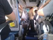 автобус в дели