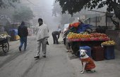 Холодная зима в Дели, фото http://www.thehindu.com